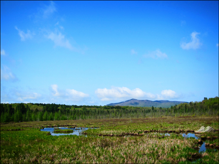 Adirondack Wetlands:  Heron Marsh from the Barnum Brook Trail at the Paul Smiths VIC